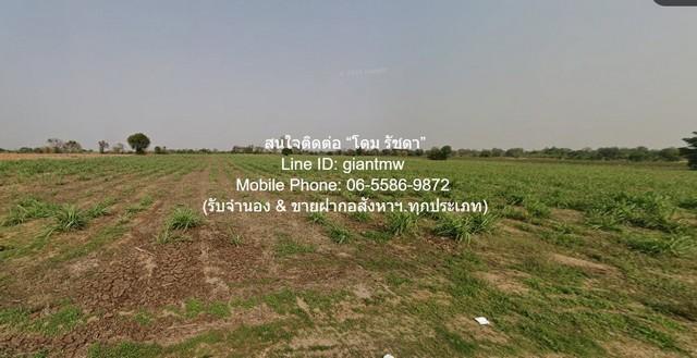 พื้นที่ดิน ห่าง ถนนมอเตอร์เวย์ M6 (บางปะอิน-หนองคาย) 4.5 กม. 0 ตร.วา 0 NGAN 10 Rai 5000000 THB ใกล้กับ - พร้อมให้คุณได้จ 8