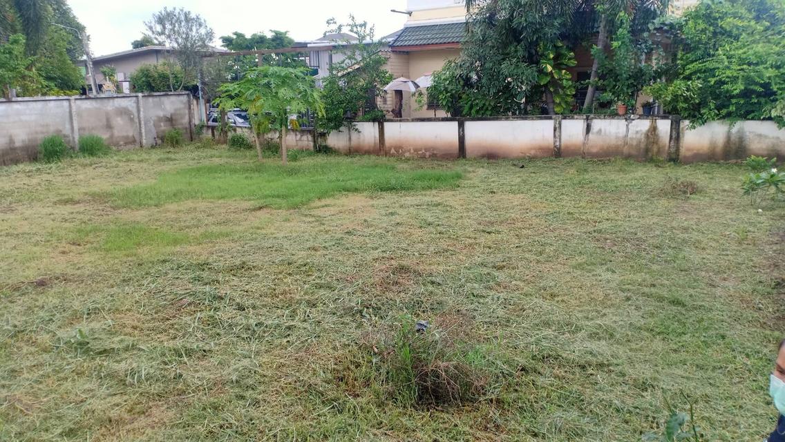 ที่ดินเปล่าในโครงการหมู่บ้าน ซอยท่าอิฐ จังหวัดนนทบุรี 3