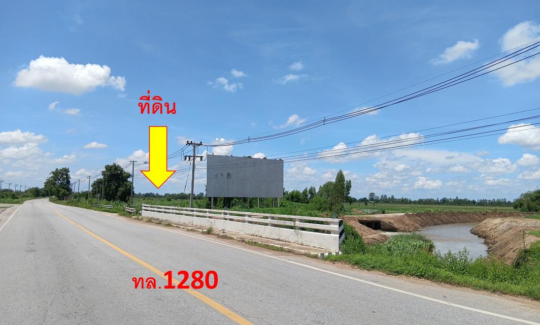 📍 ขายที่ดินติดถนน ทล.1280 อ.บึงสามัคคี จ.กำแพงเพชร 2