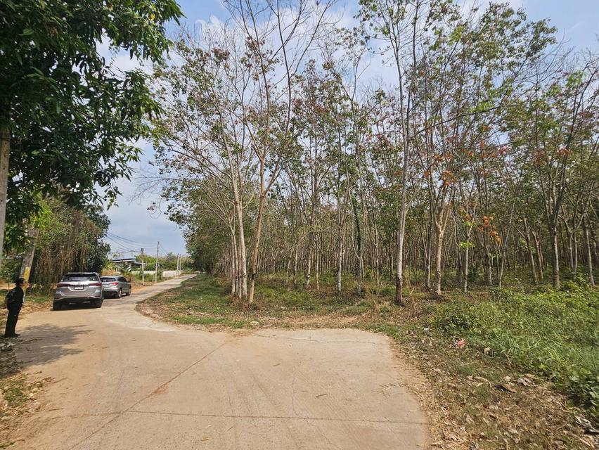 ขายที่ดินสวย 28 ไร่ ใกล้ถนนสุขุมวิท แกลง จ.ระยอง ที่ดินแปลงใหญ่ ทำเลดีมาก 4