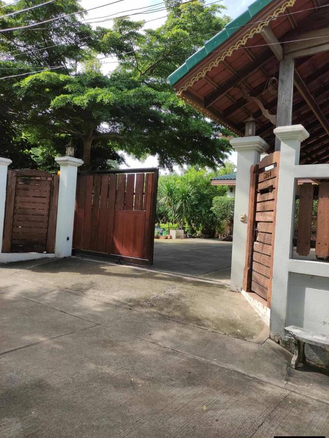 ขายบ้านพร้อมที่ดิน 400 ตรว. 40×40ม. แปลงหัวมุมบ้านปลูกเต็มเนื้อที่ 200 ตรว. สนาม 200 ตรว. (ลงเข็มเจาะไว้บนที่ดิน100ตรว พร้อมที่ดินพิพ์เขียว เผื่อครอบค 2