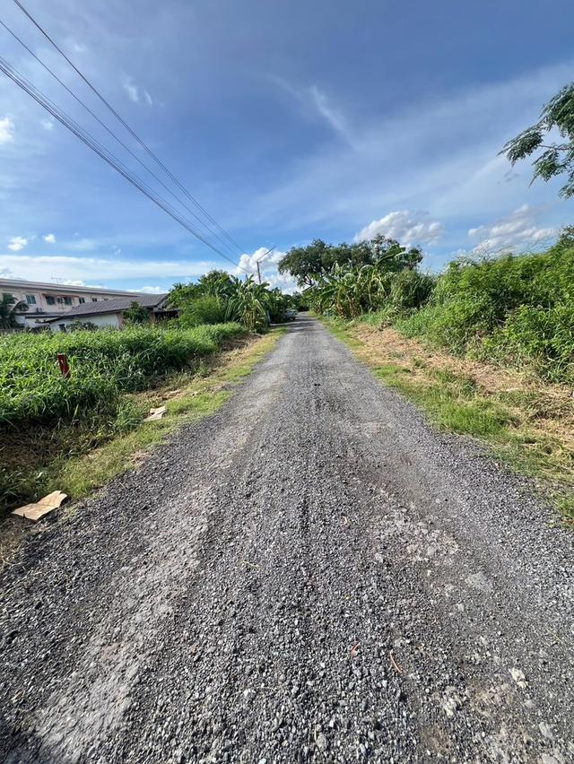 ที่ดินทำเลทองแปลงกะทัดรัด คลอง 2 ธัญบุรี (ซ.รังสิต-นครนายก 25) 7