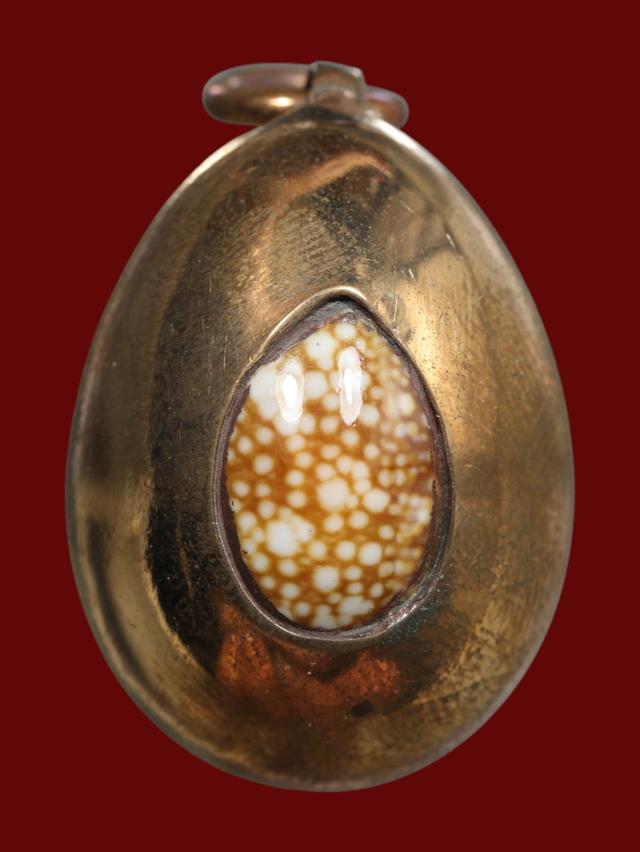 เบี้ยแก้หมง ตอกโค๊ต 18K หลวงพ่อนุ่ม วัดนางใน