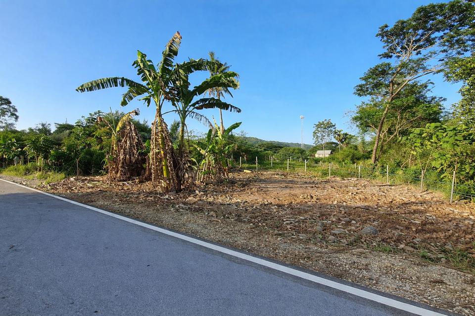 ขายที่ดิน 100 ตร.ว.หน้า กศน. สวนตูล สงขลา 3