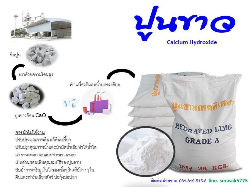 Calsium Hydroxide 4