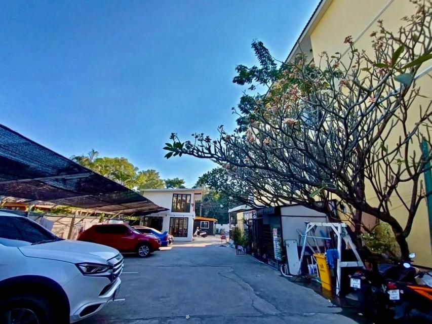 ขายอพาร์ทเมนท์ 280 ตร.ว. ติดถนนสังคมสงเคราะห์ 32 ใกล้โรงพยาบาลเปาโล โชคชัย 4 4