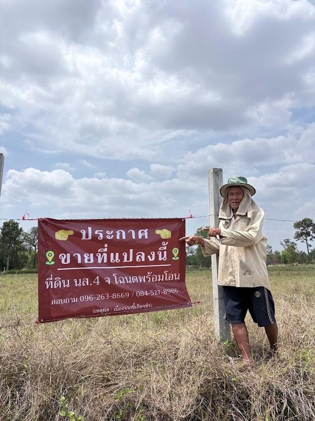 ขายด่วน ที่นา 12 ไร่ โฉนดครุฑแดงพร้อมโอน อ.น้ำขุ่น จ.อุบลฯ 11