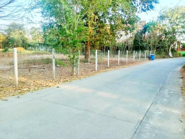 อ่างซับประดู่ คลองตะแบก 900 ม.ปั๊มน้ำมัน ปตท. สีคิ้ว บ้านเดี่ยว 2 ชั้นหลังใหญ่ 3 นอน 2 น้ำ ขนาด1.5ไร่ บรรยากาศร่มรื่น ถ. 5