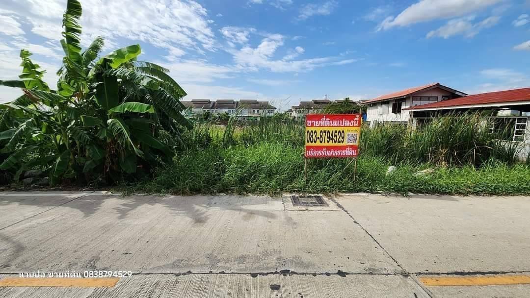 Vายด่วนที่ดินคลองสอง  363 ตารางวา ติดถนนคอนกรีตสาธารณะ  ซอยแก้วบาง อ.คลองหลวง จ.ปทุมธานี 7