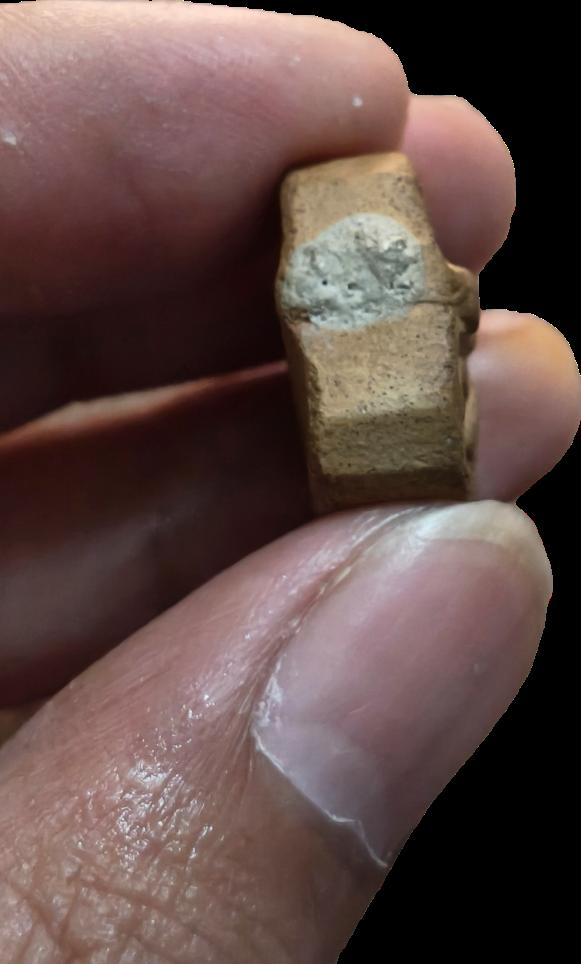 หลวงพ่อปานวัดบางนมโค 2460 พิมพ์ขี่ไก่หางรวม รูปที่ 12