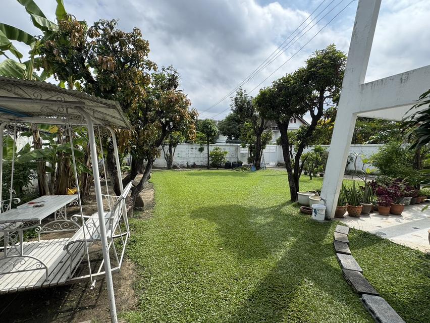 ขายบ้านเดี่ยว เหมาะทำออฟฟิต ติดถนนรัชดา วิภาวดี ประชาชื่น 20