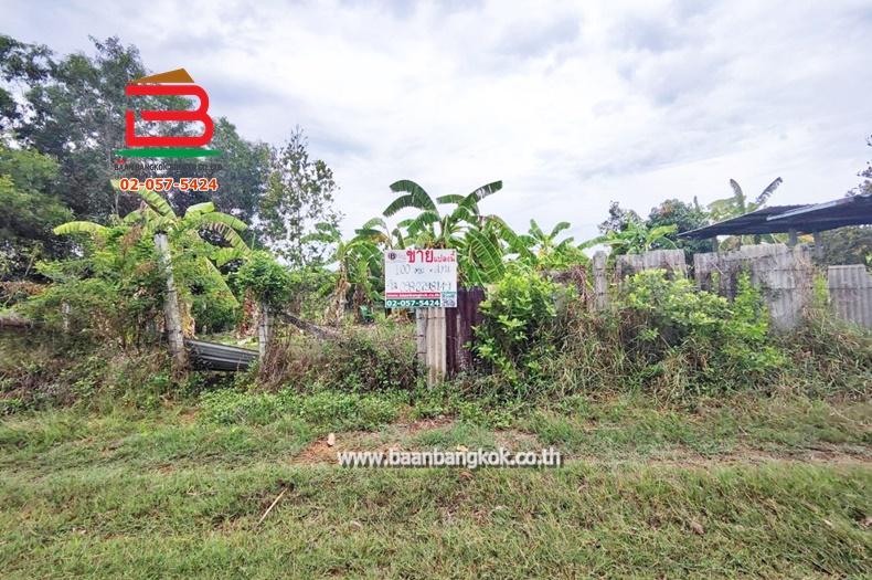 ที่ดิน ถมแล้ว ซอยมิตรไมตรี 2/2 เนื้อที่ 100 ตรว. ถนนมิตรไมตรี เขตหนองจอก กรุงเทพฯ