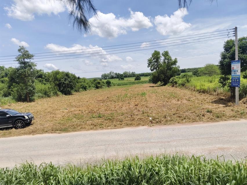 ขายที่ดินบ่อวินซอยตลาดลุงอ้วนเนื้อที่ 5 ไร่ หลังนิคมอีสเทอร์ซีบอร์ด ใกล้ถนนเส้น331-8กม. อ.ศรีราชา ชลบุรี 4