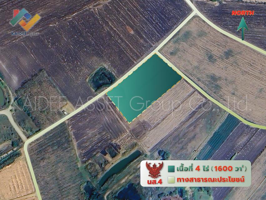 ที่ดิน วังไทร ปากช่อง ใกล้ เขาใหญ่ วังน้ำเขียว ราคาถูก 2