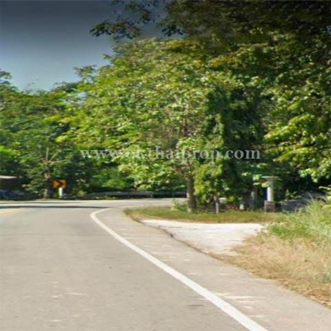 ที่ดินติดถนน ต.นาวังหิน อ.พนัสนิคม จ.ชลบุรี 12