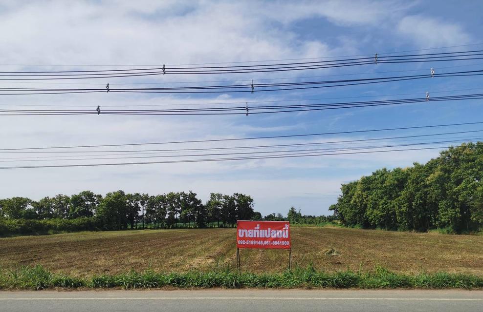 ที่ดิน อำเภอสวรรคโลก จังหวัดสุโขทัย 1