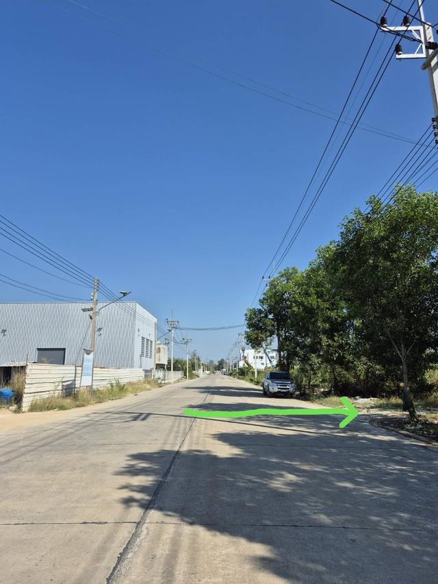 ขายที่ดินเปล่าถมแล้วสวยมาก ลำลูกกา คลอง11 ปทุมธานีใกล้วัดป่าเจริญราช 5