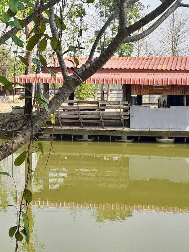 ที่ดินพร้อมบ้าน  3  หลัง 10