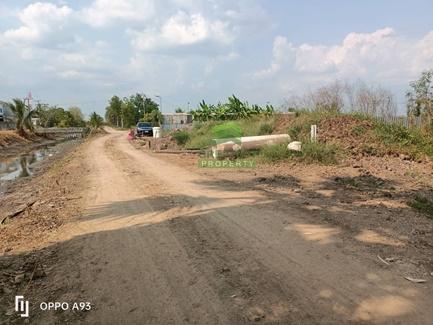 ขายที่ดิน คลอง8 บึงบอน หนองเสือ ปทุมธานี เนื้อที่ 70 ตร.ว ราคาไม่แพง 4