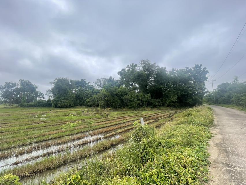 ที่ดินแปลงสวย ทำเลดี 7
