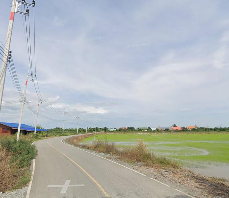 ขายที่ดินบางแก้วซอย3 เนื้อที่ 8 ไร่ ติดถนนลาดยาง ใกล้สวนปาล์มฟาร์มนกและถนน3200-5กม. เมืองฉะเชิงเทรา 4