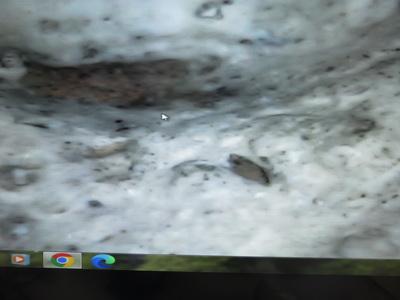 พระสมเด็จวัดระฆังและพระสมเด็จกรุวัดบางขุนพรหม รูปที่ 5