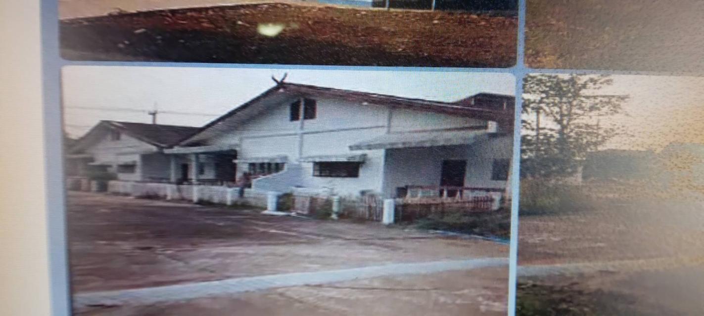 ขายที่ดินแปลงใหญ่  33 ไร่ โฉนด ขายโกดังและคลังสินค้าพร้อมโรงงานเปล่า ตาก Sale Ware House and Factory at Tak 2