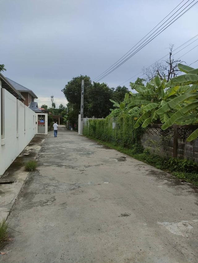 ขายที่ดินเปล่าถมแล้วในถนนลาดพร้าวซอย 48 กรุงเทพมหานคร 2