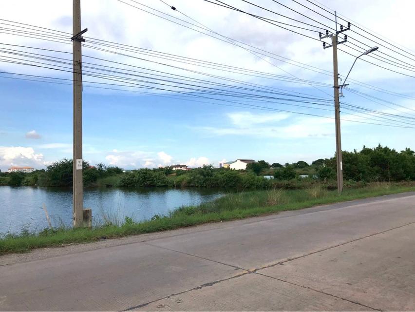  ขายที่ดินทำเลศักยภาพ ซอยประชาอุทิศ 90 จังหวัดสมุทรปราการ 5
