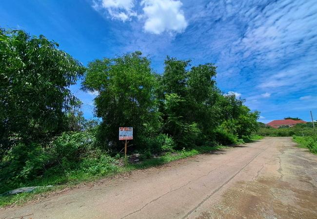 ขายที่ดิน 1 ไร่ คลอง 2 ซอยบงกช 26/1 ถนนรังสิต-นครนายก คลองหลวง ปทุมธานี 4