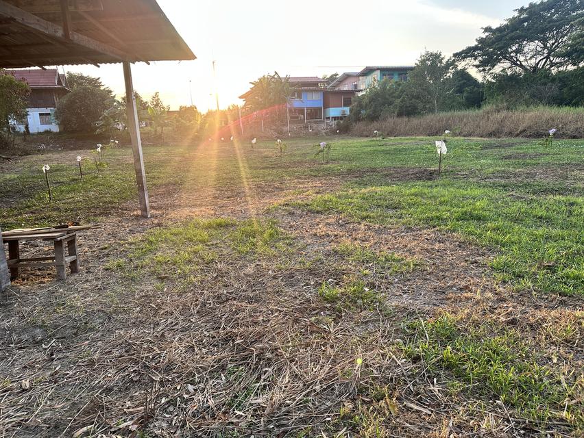 ขายที่ดิน 1 ไร่ (400 ตร.วา) ต.สวนพริก พระนครศรีอยุธยา 4