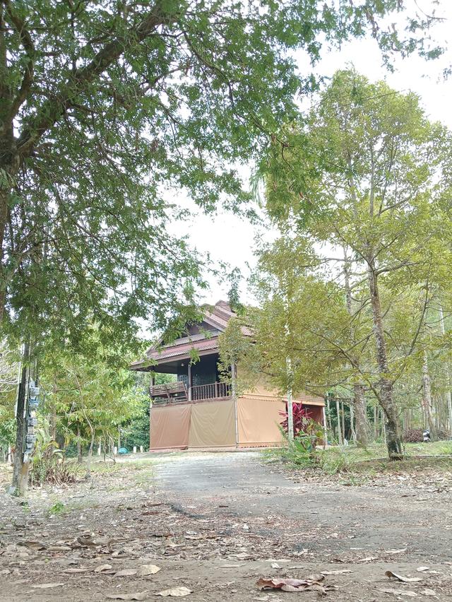 ขายที่ดินสวนผลไม้-บ้านเรือนไทย 1 หลัง 7