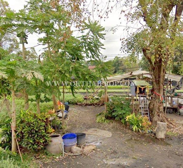 ที่ดิน คลอง14 ถนนรังสิต-นครนายก ใกล้ มศว. อ.องครักษ์ จ.นครนายก 6