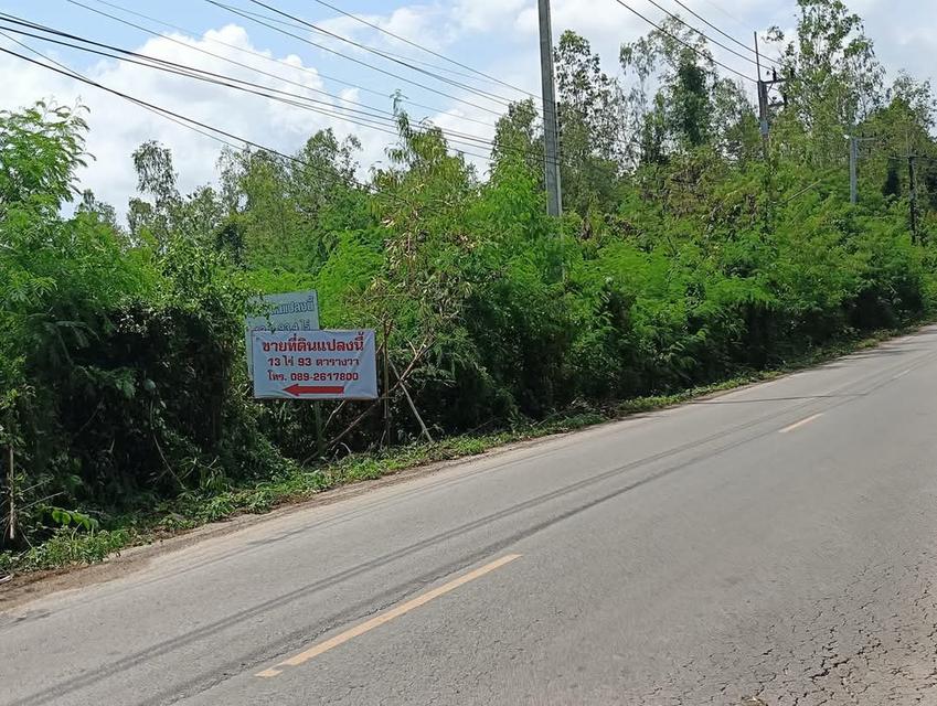 ขายที่ดิน