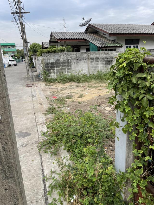 ขายถูกมากก ที่ดิน เหมาะสร้างบ้าน ปุณณวิถี 47 สุขุมวิท101 บางจาก พระโขนง 55 ตรว ทำเลดี