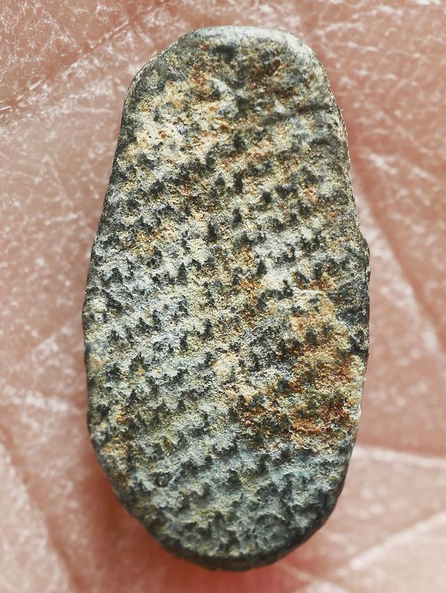 พระพิจิตรเม็ดข้าวเม่า...เก่าๆ 4