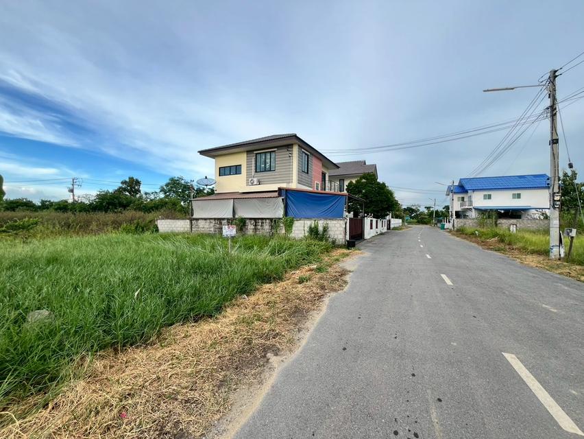 ที่ดินเปล่า ถมแล้ว ใกล้มหาวิทยาลัยธรรมศาสตร์ศูนย์รังสิต ถนนเชียงราก ต.เชียงรากใหญ่ อ.สามโคก จ.ปทุมธานี 1