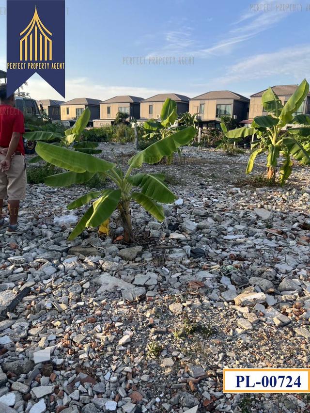 ขายที่ดิน คลองสามประเวศ ลาดกระบัง ขนาด180 ตารางวาเหมาะสร้างบ้านราคาย่อมเยาว์ 6