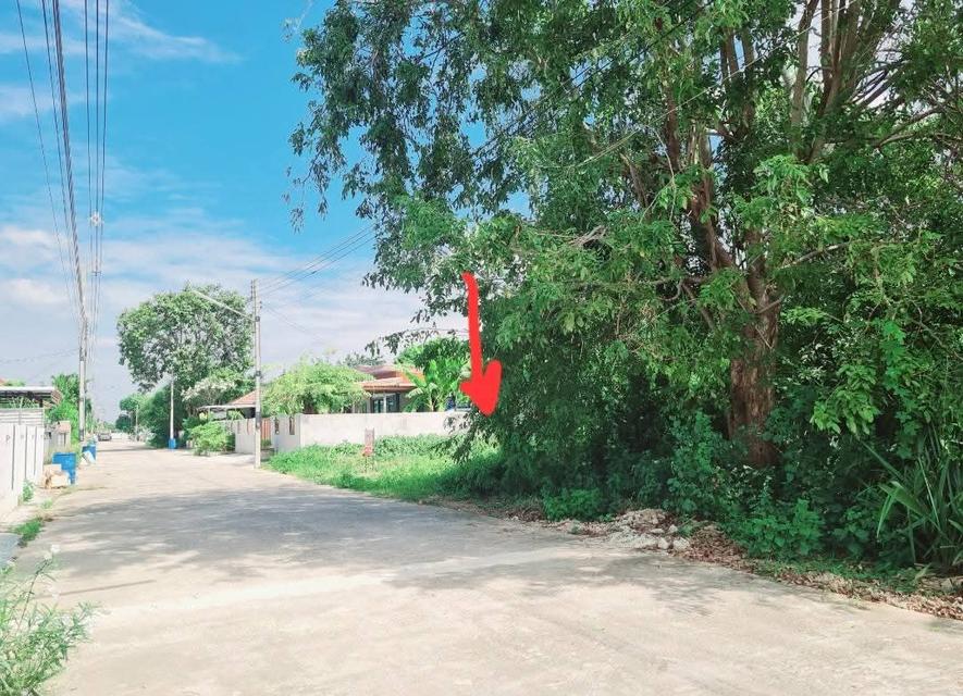 ขายที่ดินเปล่าชุมชนท่าม่วง จ.กาญจนบุรี 9