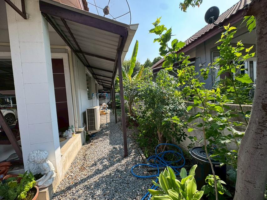 ขายบ้านเดี่ยว หนองจอก **ราคาพิเศษ บ้านร่มรื่นน่าอยู่** (N.2072) 6