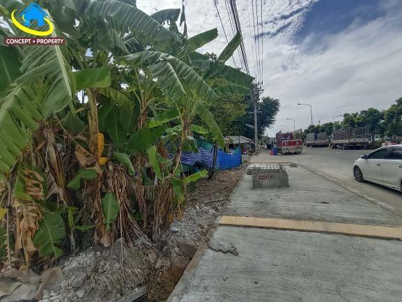 ขายที่ดิน 149 ตารางวา ติดถนนพุทธมณฑล สาย 1 เหมาะทำโชว์รูม ตลิ่งชัน 1