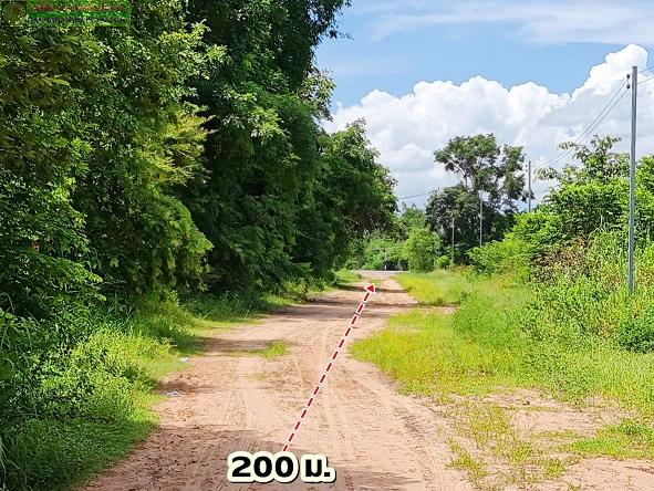 ที่ดินแปลงสวยสำหรับบ้านสวน สไตล์ธรรมชาติ ใกล้บึงน้ำ (มีน้ำตลอดปี) อ.พระยืน จ.ขอนแก่น 3