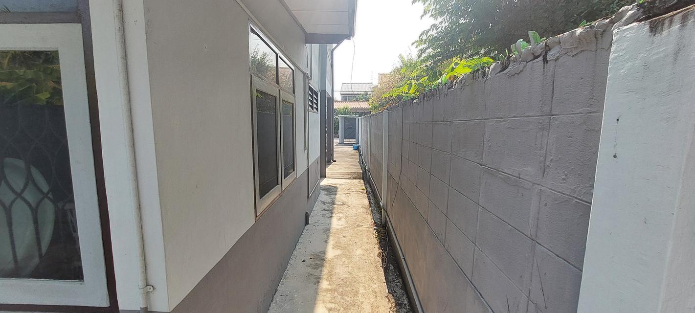 ขายบ้านเดี่ยว 85 ตรว. ม.เจริญสุข ซ.เพชรเกษม 52 แยก 10 พื้นที่เยอะ 10