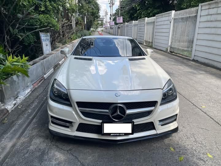 ปล่อยขาย MERCEDES-BENZ SLK-CLASS