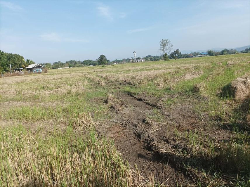 ขายที่ดิน5ไร่ วิวสวย ต.ป่าป้อง อ.ดอยสะเก็ด จ.เชียงใหม่ 6