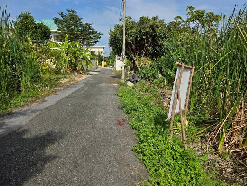 ขายถูกที่สุดที่ดินทำเลดี 53 ตารางวา ติดถนนลาดยางสาธารณะ ซอย ร่มโพธิ์ทอง 14 อ.บางบัวทอง จ.นนทบุรี 7