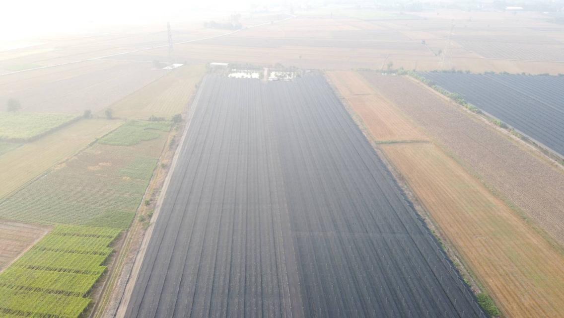 💫ขายที่ดิน💫 พร้อมโรงเรือนกล้วยไม้ 43ไร่ 2งาน กำแพงแสน นครปฐม เพียง 650,000/ไร่ 2