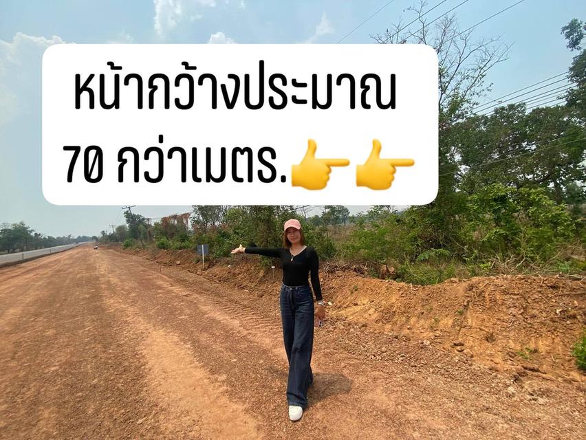 ที่ดินติดถนนหลักเส้นนาแก-พระซอง-เรณู24 ไร่ 2