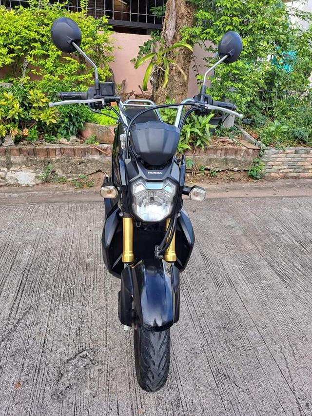 Honda zoomerx black  1