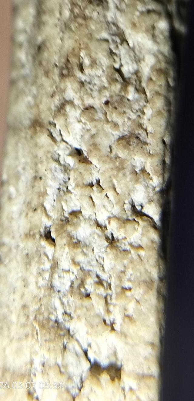 พระสมเด็จวัดระฆังพิมพ์อกกระบอกเล็ก รูปที่ 9